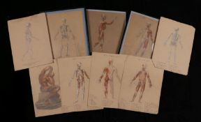 Collection of nine anatomical drawings, to include skeletal and musculature studies, three in