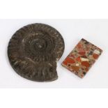 Ammonite specimen 17.5cm wide, 12cm high, rectangular agate panel, 5cm wide, 7cm high (2)