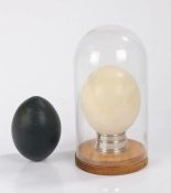 Ostrich egg, on a Harrods plated circular plinth base and housed under a glass dome, emu egg (4)