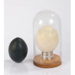 Ostrich egg, on a Harrods plated circular plinth base and housed under a glass dome, emu egg (4)