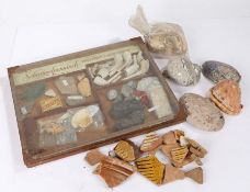 Archaeological interest, a collection of clay pipe bowls, partial arrow tip, pottery fragments,