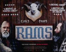 Rams (2015) - British Quad film poster, directed by directed by Grímur Hákonarson, rolled, 30" x