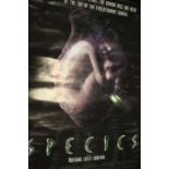 Species (1995) - British one sheet film poster, starring Natasha Henstridge, rolled, 69cm x 102cm