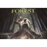 The Forest (2016) - British Quad film poster, starring Natalie Dormer, rolled, 76cm x 102cm