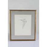Andrew Miller Mundy (1944-2000), three limited edition prints, kestrel 199/500, owl 3/500, tern 5/
