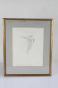 Andrew Miller Mundy (1944-2000), three limited edition prints, kestrel 199/500, owl 3/500, tern 5/