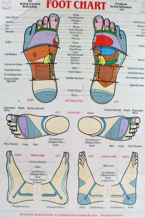 The British School of Reflexology Foot Chart, Produced by Ann Gillanders 1987, housed in a glazed