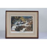 Four Norman Thelwell signed limited edition sporting prints, "The Rough Shoot" 725/850, "The