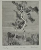 Peter David Polaine (b1937) Australian Ghost Trees, pencil signed monotype, 30cm x 36cm