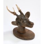 Folk art carved deer's head, the carved head with two carved antlers mounted on an oval shield,