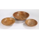 Three 19th Century treen dairy bowls, the largest example with a ring turned outside edge, 38cm