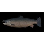20th Century carved and painted half block model of a salmon, carved and painted to one side,
