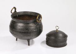 19th Century cast iron cauldron, with a ring turned body and brass handles, 32cm wide, 26cm high,