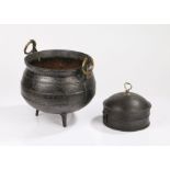 19th Century cast iron cauldron, with a ring turned body and brass handles, 32cm wide, 26cm high,