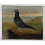 J Browne, 20th Century British school, portrait of a Racing Pigeon, signed and dated 1924 oil on