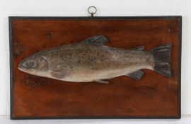 Charming late 19th Century carved wood fishing trophy, carved as a trout with a speckled painted