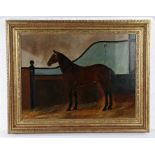 20th Century British primitive school, a chestnut horse in a stable, unsigned oil on canvas, 59cm