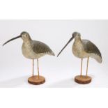Pair of large early 20th Century decoy Curlew birds, the long removable beaks that plug into the