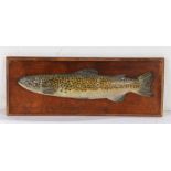 Charming late 19th Century carved wood fishing trophy, carved as a rainbow trout with a speckled