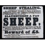 Sheep Stealing, a 19th Century reward poster, SHEEP STEALING. On Saturday night, of early on