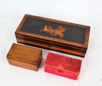 Late 19th century Italian Sorrento ware box, the specimen wood box of rectangular form, the hinged