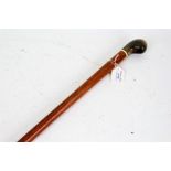 Wooden walking cane with cows horn handle, 82.5cm long