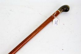 Wooden walking cane with cows horn handle, 82.5cm long