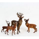 Three various cast metal painted stags, and a deer similar, the largest 23cm high