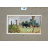 John Tookey (b. 1947) - Cattle Crazing, pastel landscape study, signed to the bottom right corner,