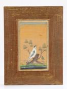 Persian/Indian school, study of a bird of prey perched on a tree stump, watercolour, housed in a