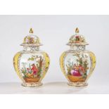 Pair of porcelain lidded vases, the gilt pointed lids with polychrome figures and flower sprigs in