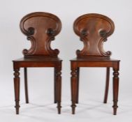 Pair of Regency mahogany hall chairs, the arched back with scrolls terminating with roundels and a
