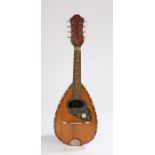 Fratelli Indelicato teardrop mandolin.