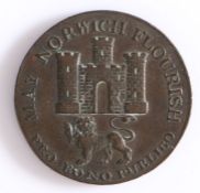 British 18th Century Token, May Norwich Flourish, Norfolk and Norwich Halfpenny 1792