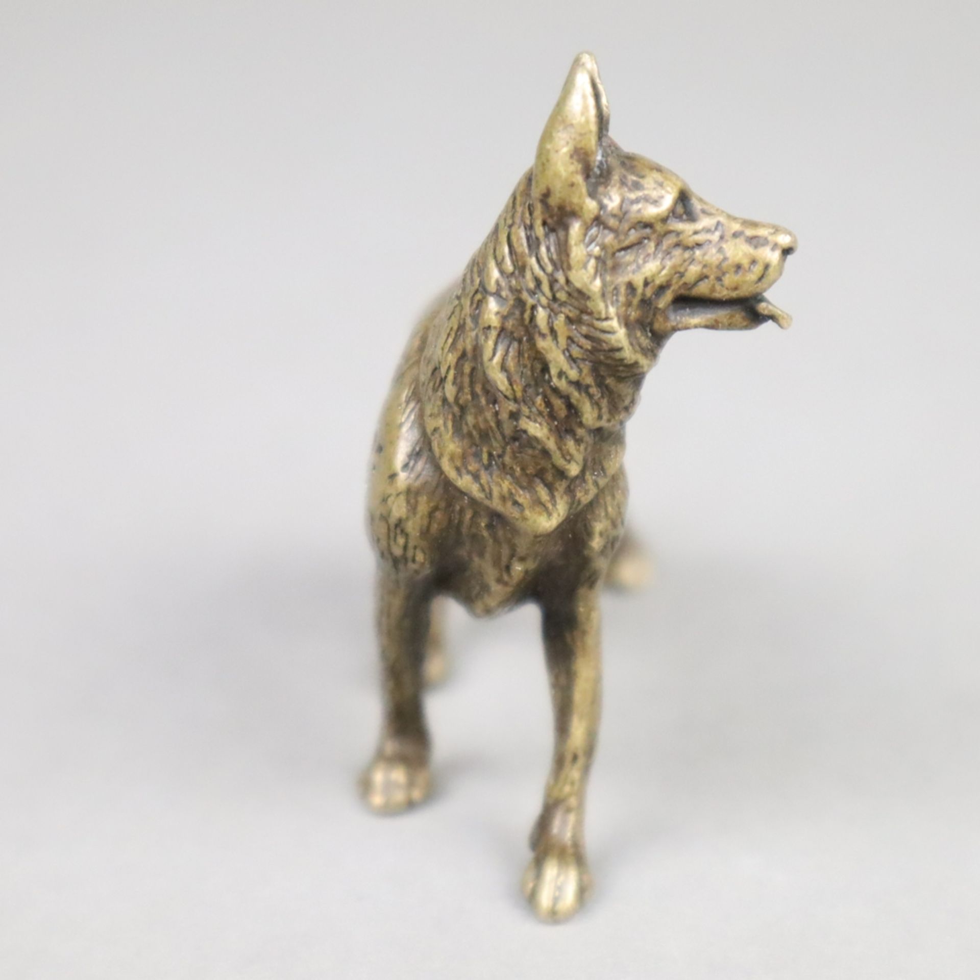 Tierplastik Schäferhund - wohl um 1900, Bronze, patiniert, vollplastische natur - Bild 4 aus 5