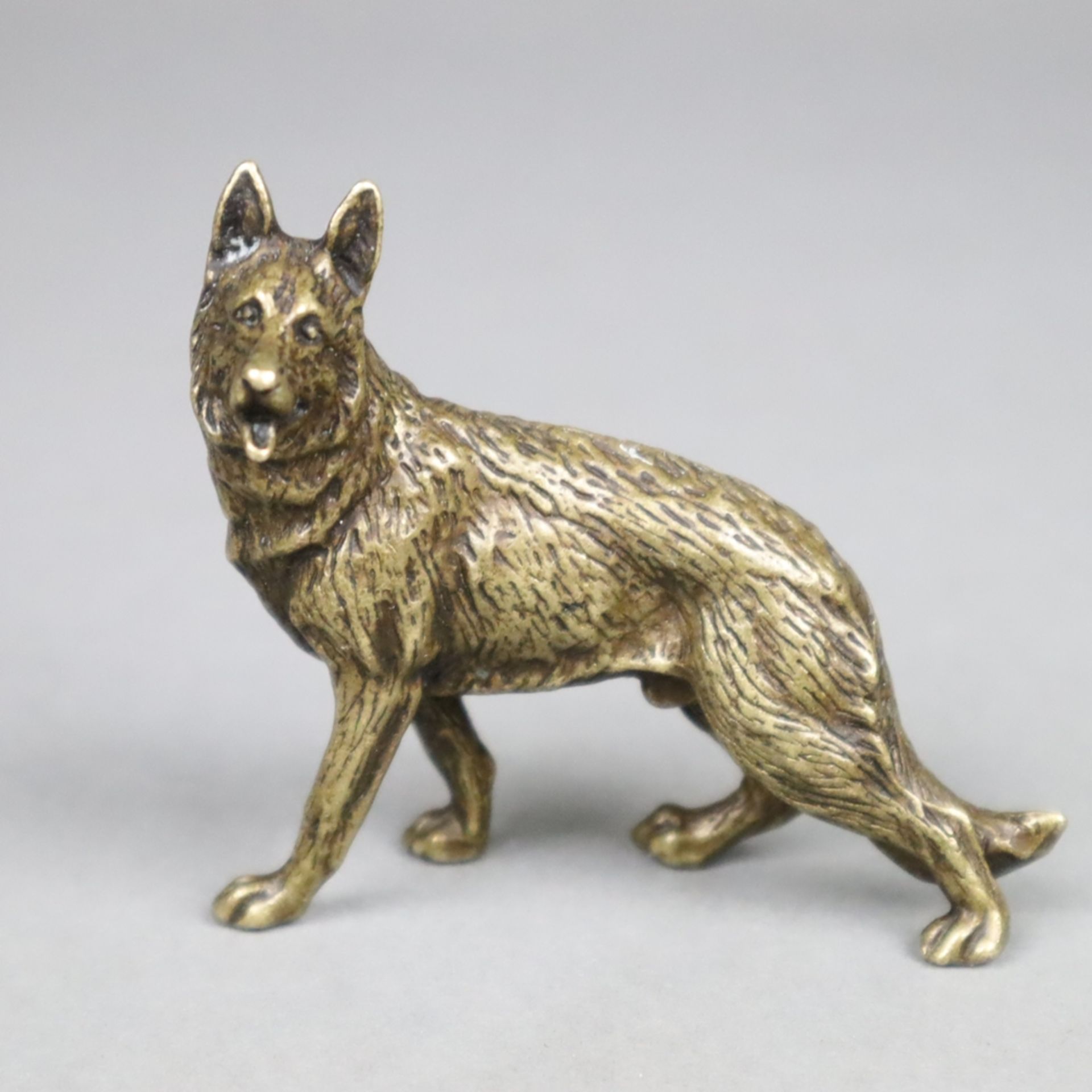 Tierplastik Schäferhund - wohl um 1900, Bronze, patiniert, vollplastische natur