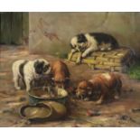 Schmidt, Max (1818 Berlin - 1901 Königsberg) - Hundewelpen bei der Fütterung im