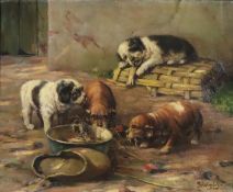Schmidt, Max (1818 Berlin - 1901 Königsberg) - Hundewelpen bei der Fütterung im