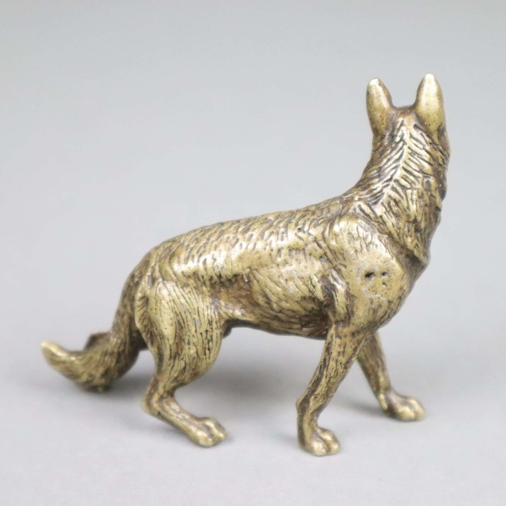 Tierplastik Schäferhund - wohl um 1900, Bronze, patiniert, vollplastische natur - Bild 2 aus 5