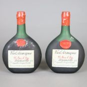 Zwei Flaschen Armagnac - "Vieil Armagnac, 25 Ans d'Age, B. Gelas et Fils" , Vic