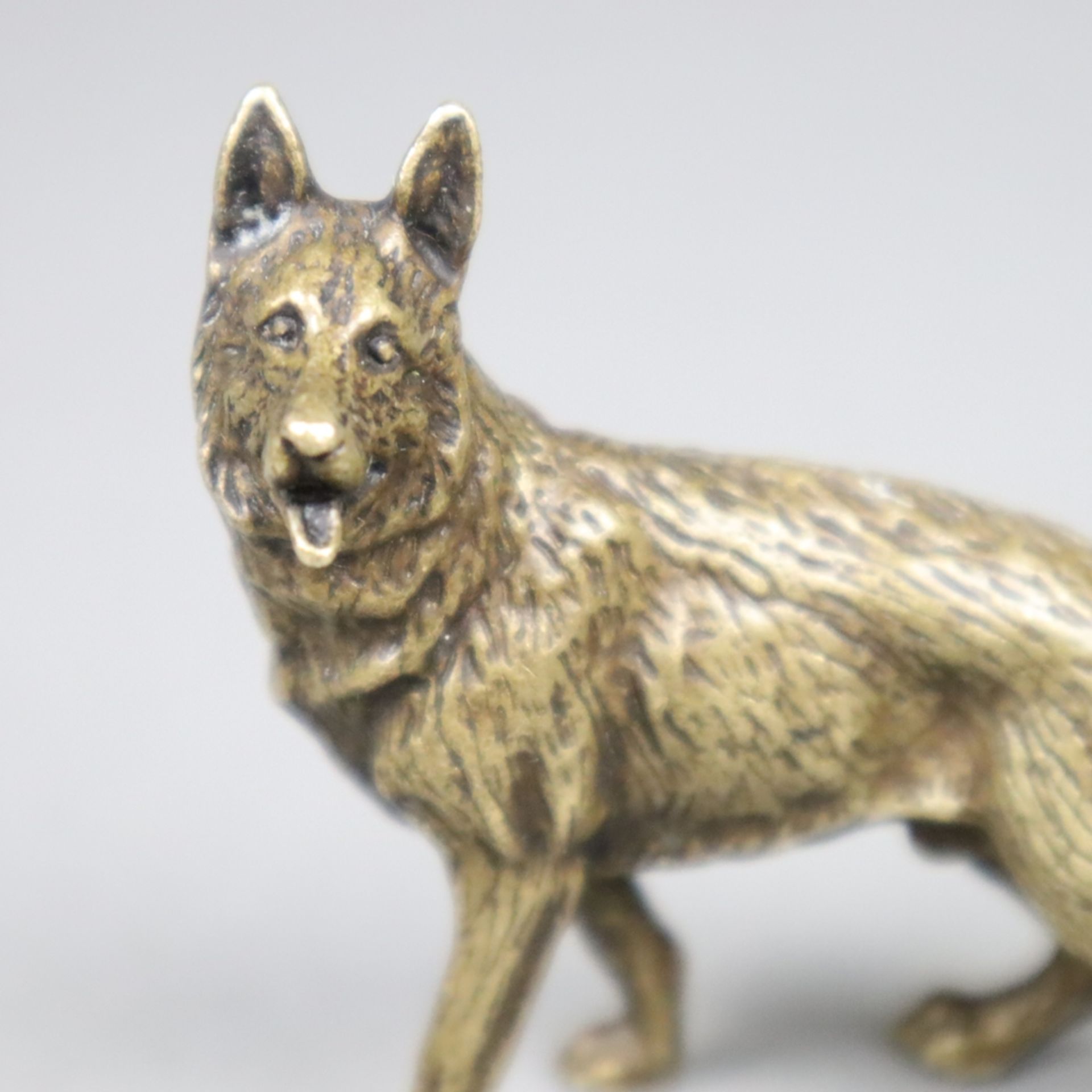 Tierplastik Schäferhund - wohl um 1900, Bronze, patiniert, vollplastische natur - Bild 3 aus 5