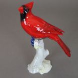 Vogelfigur "Kardinal-Vogel"- Hutschenreuther, Kunstabteilung, Porzellan, polychrom bemalt, Kardinal