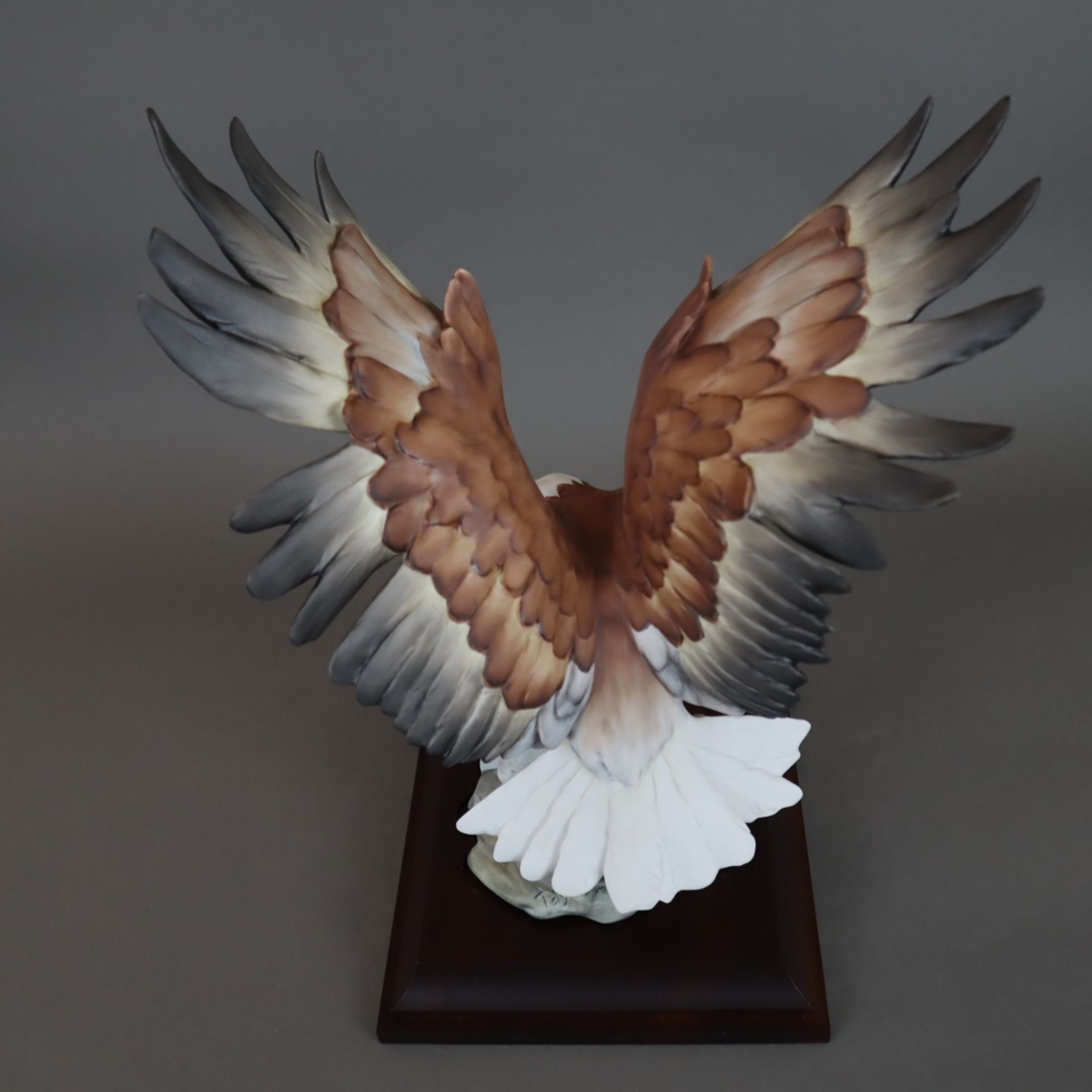 "Der Weisskopfadler/ American Bald Eagle/ Haliaeetus leucocephalus" - Giuseppe Tagliariol, Kaiser P - Image 5 of 10