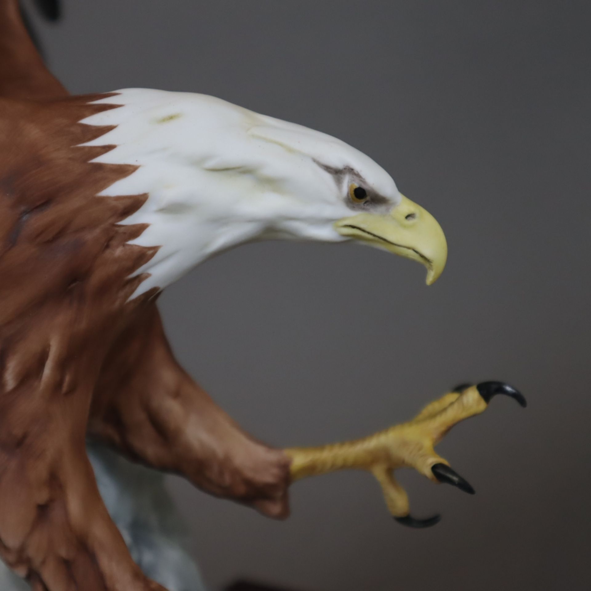 "Der Weisskopfadler/ American Bald Eagle/ Haliaeetus leucocephalus" - Giuseppe Tagliariol, Kaiser P - Image 3 of 10