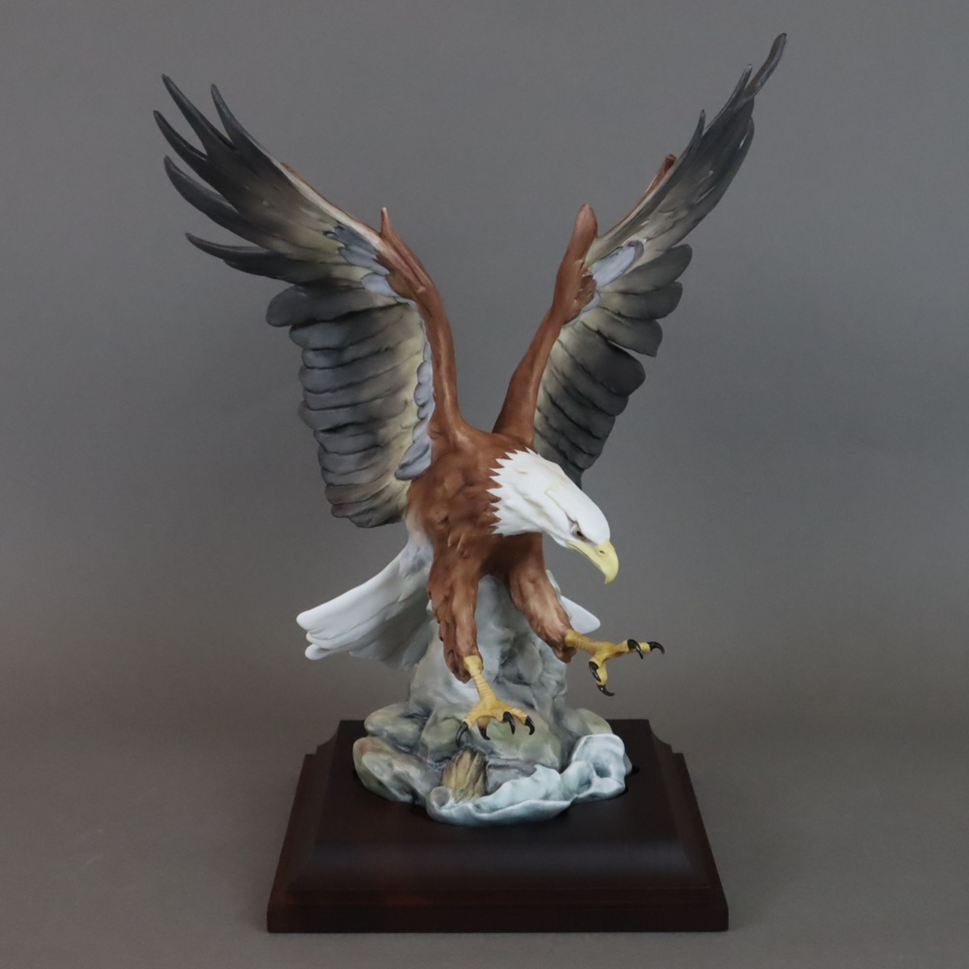 "Der Weisskopfadler/ American Bald Eagle/ Haliaeetus leucocephalus" - Giuseppe Tagliariol, Kaiser P