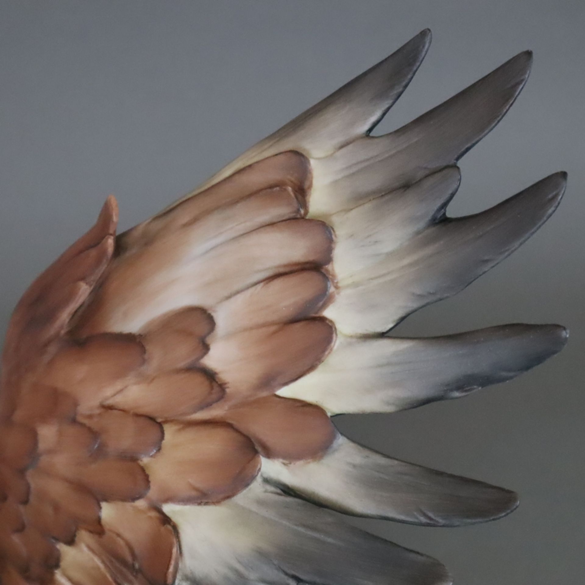 "Der Weisskopfadler/ American Bald Eagle/ Haliaeetus leucocephalus" - Giuseppe Tagliariol, Kaiser P - Image 6 of 10
