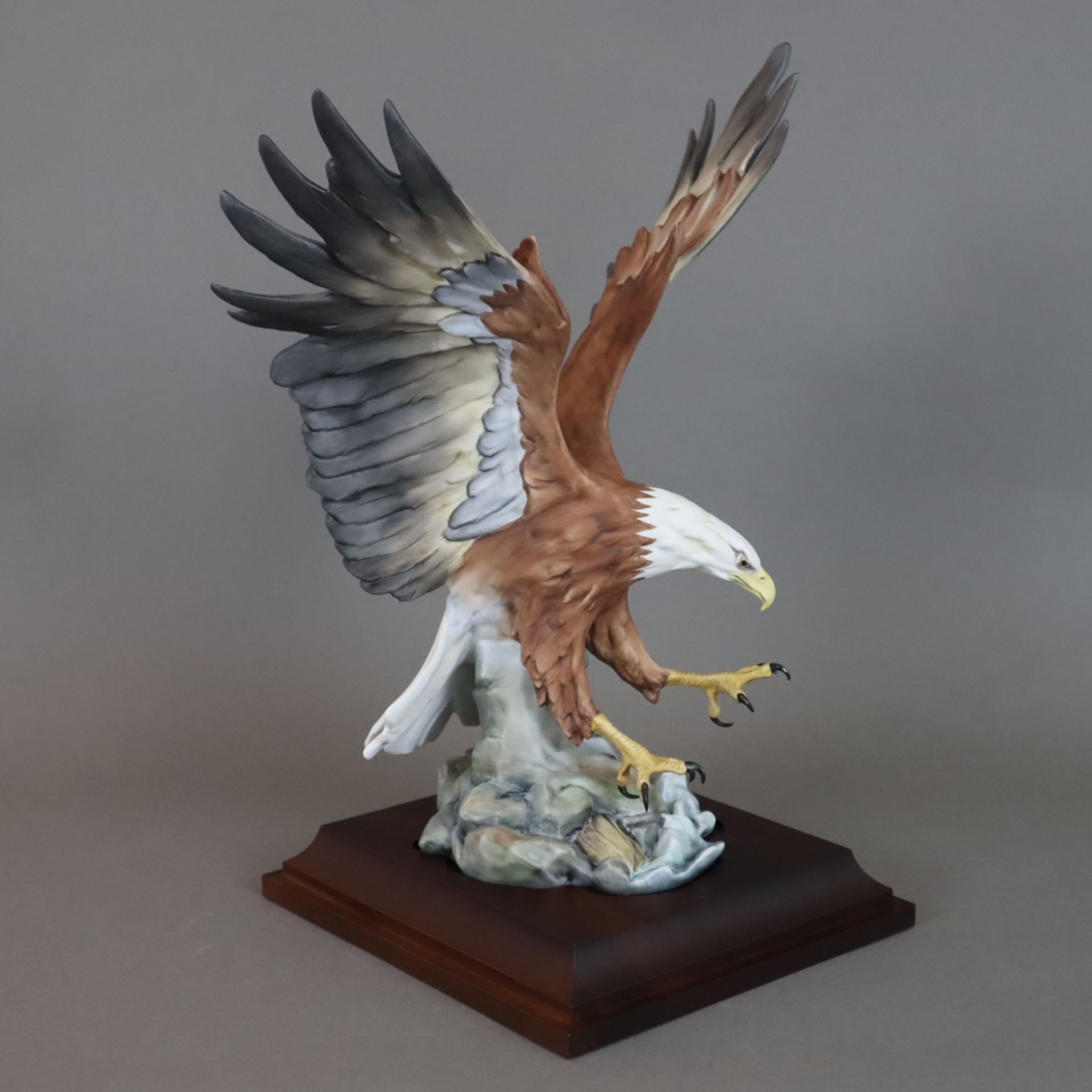 "Der Weisskopfadler/ American Bald Eagle/ Haliaeetus leucocephalus" - Giuseppe Tagliariol, Kaiser P - Image 2 of 10