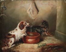 Armfield, George (1808 -London-1893/ engl. Tier- und Jagdmaler, regelmäßige Ausstellungen in der Ro