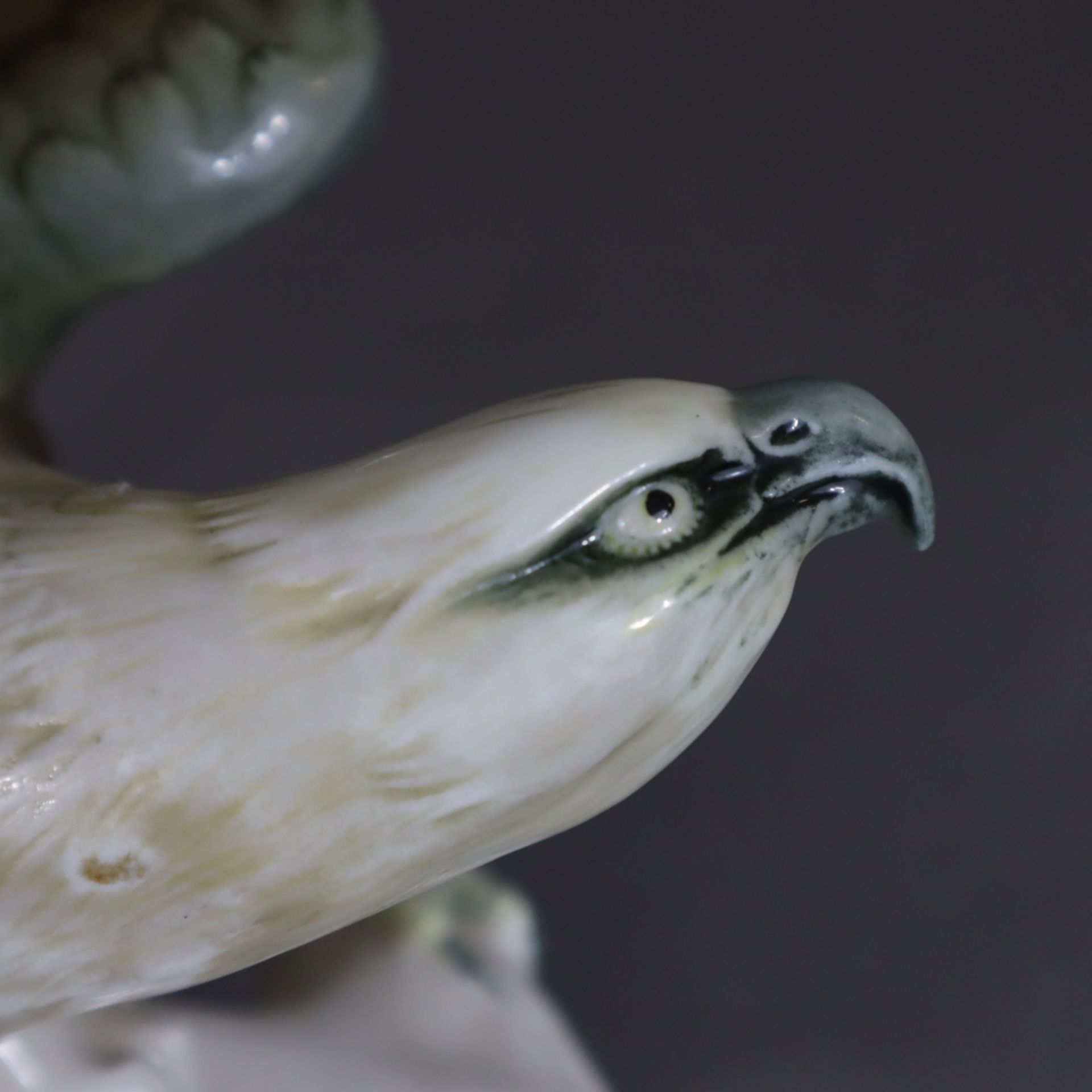 Weißkopfseeadler - Ens, 20.Jh., Porzellan, polychrom bemalt, naturalistische Darstellung auf Astsoc - Image 6 of 8