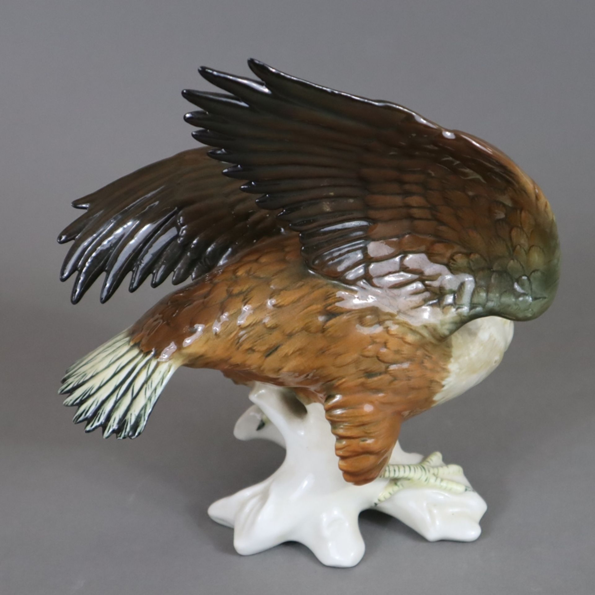 Weißkopfseeadler - Ens, 20.Jh., Porzellan, polychrom bemalt, naturalistische Darstellung auf Astsoc - Image 5 of 8